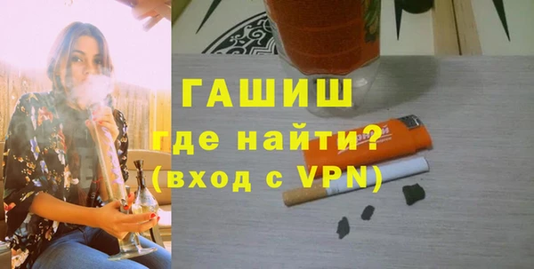 стаф Инта