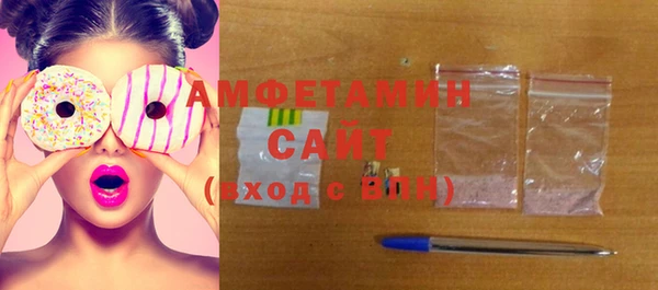стаф Инта
