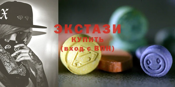 стаф Инта