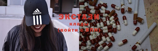 стаф Инта