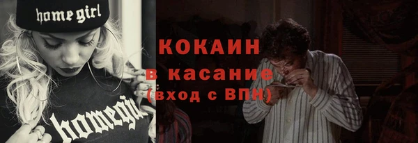 стаф Инта