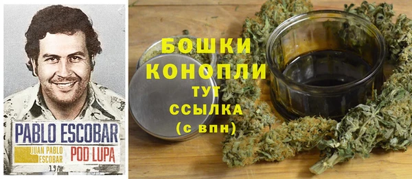 стаф Инта
