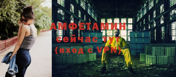 стаф Инта