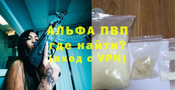 стаф Инта