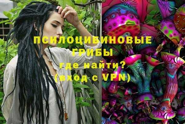 стаф Инта