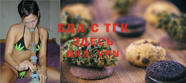 стаф Инта