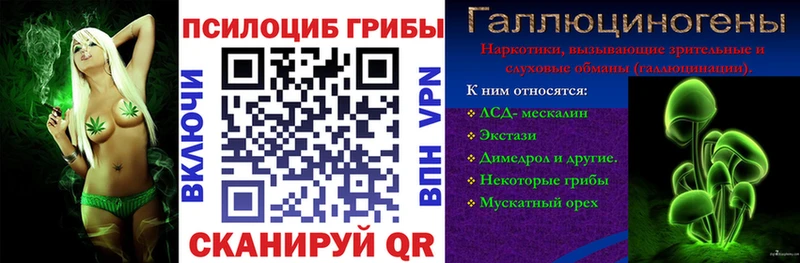 наркошоп  Карабаново  Псилоцибиновые грибы Magic Shrooms 